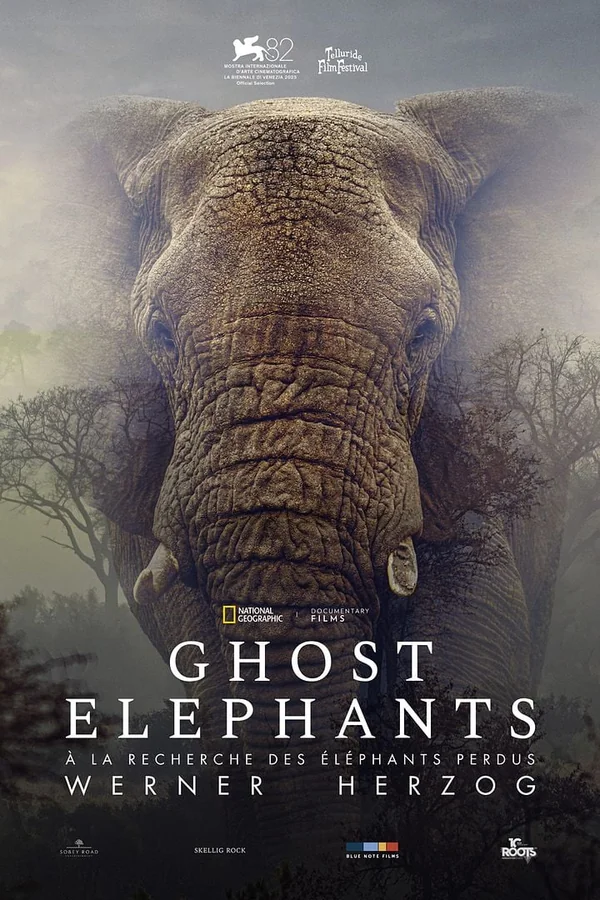Affiche de Ghost Elephants - Festival Spiritualité